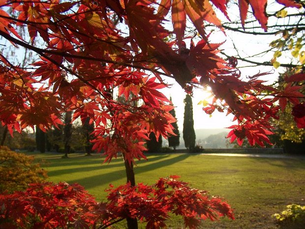 Parco_Sigurt_Autunno