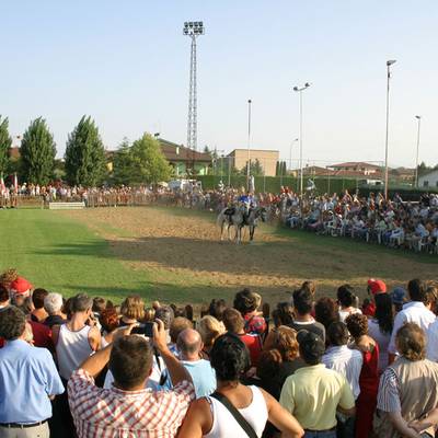 Festa del Cavallo a Cherubine di Cerea