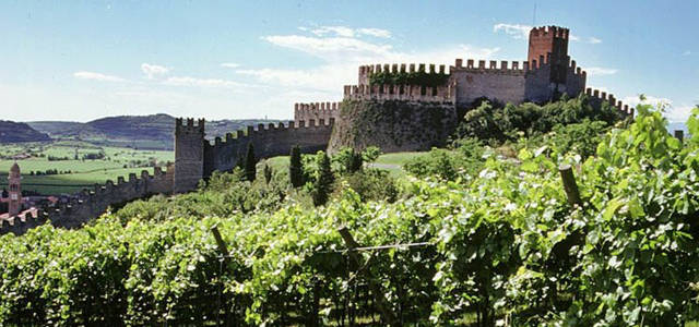 Strada-del-vino-Soave