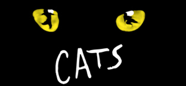 cats_musical_042