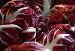 radicchio_rosso