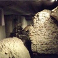 Corte Sgarzerie - visite guidate